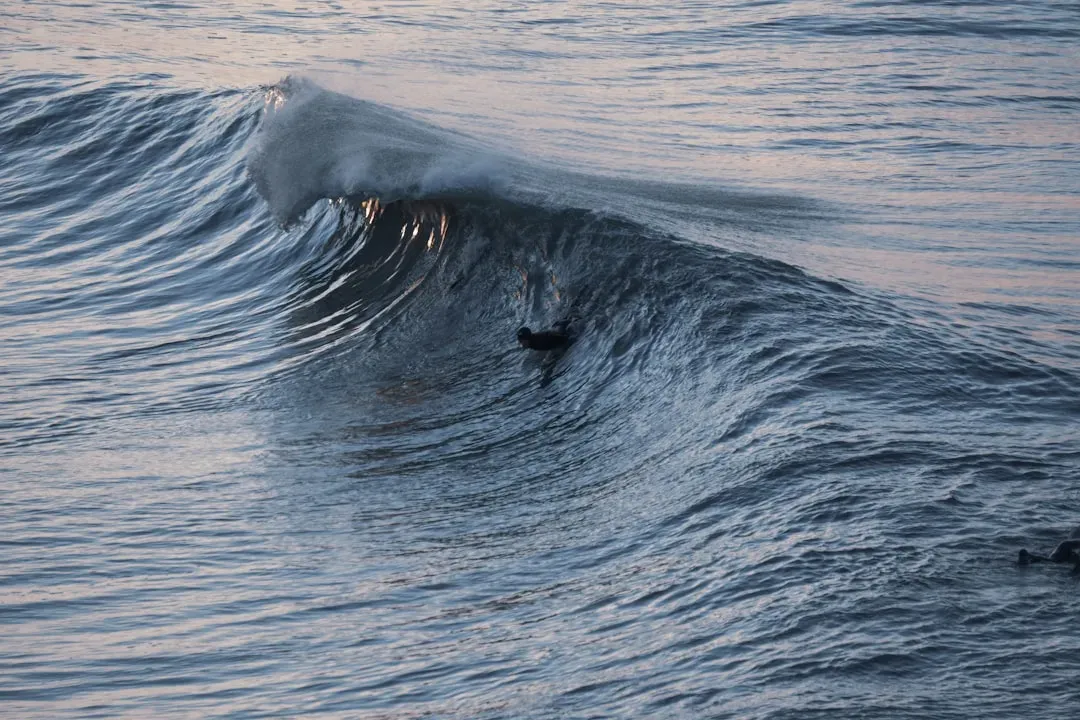 Rogue Waves: Walls of Water That Shouldn't Exist (Image Credits: Unsplash)