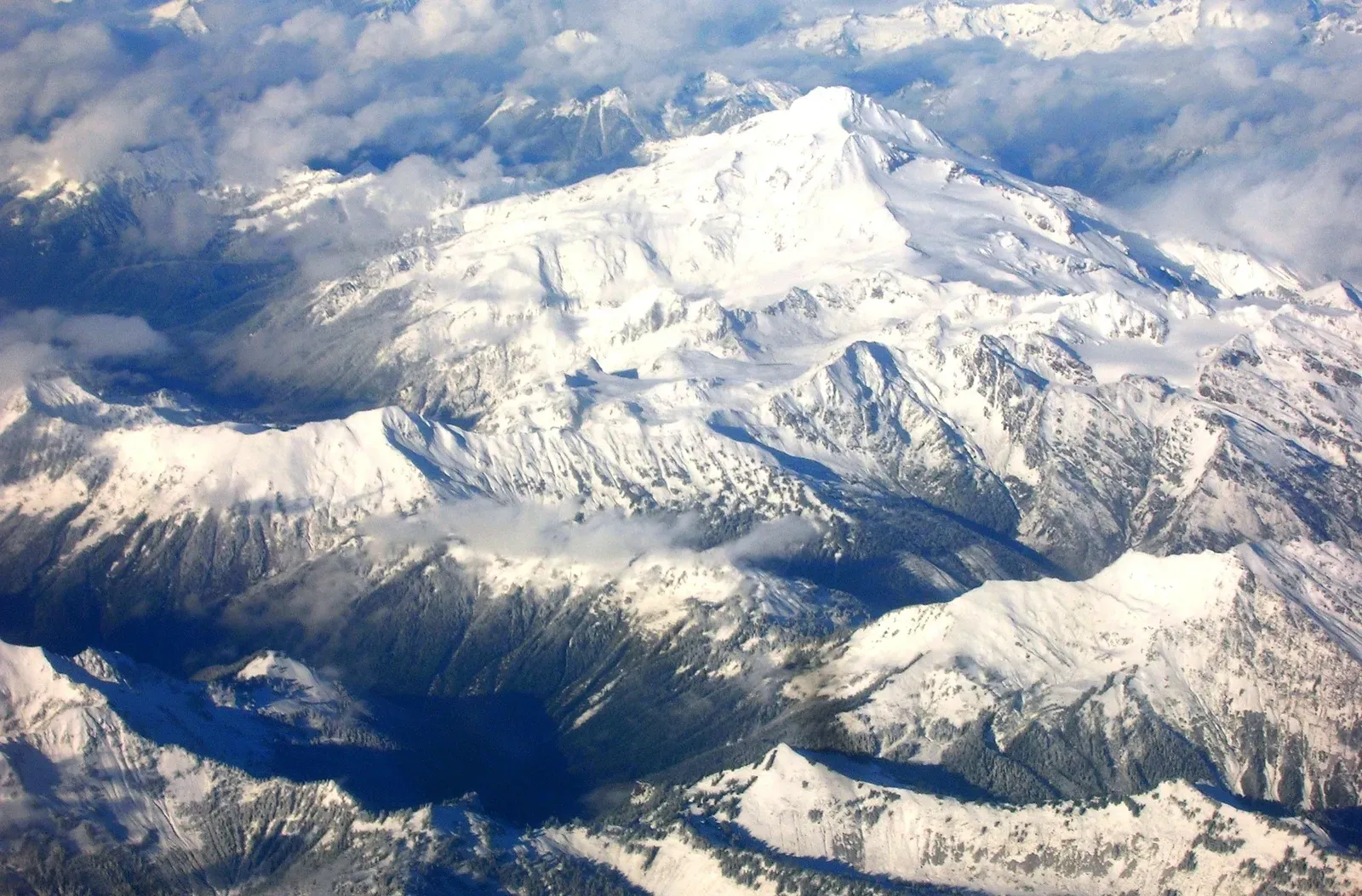 The Last Ice Age: A Handbook for Rapid Change (Image Credits: Wikimedia)