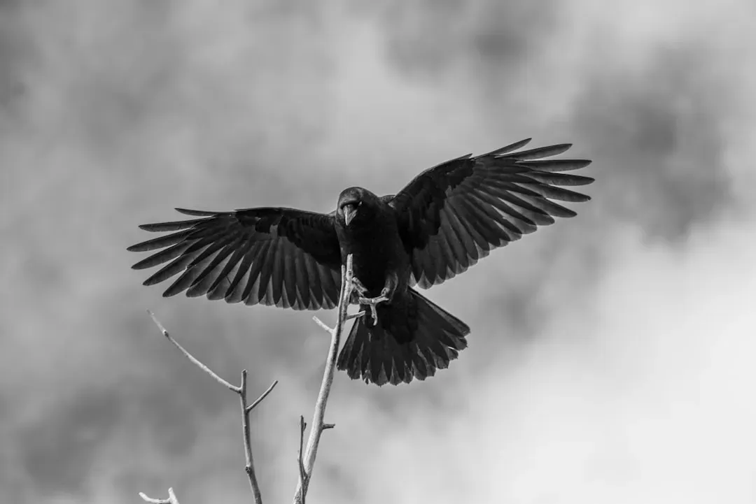 #3 - Holding Grudges, But Also Granting "Forgiveness" (Image Credits: Unsplash)