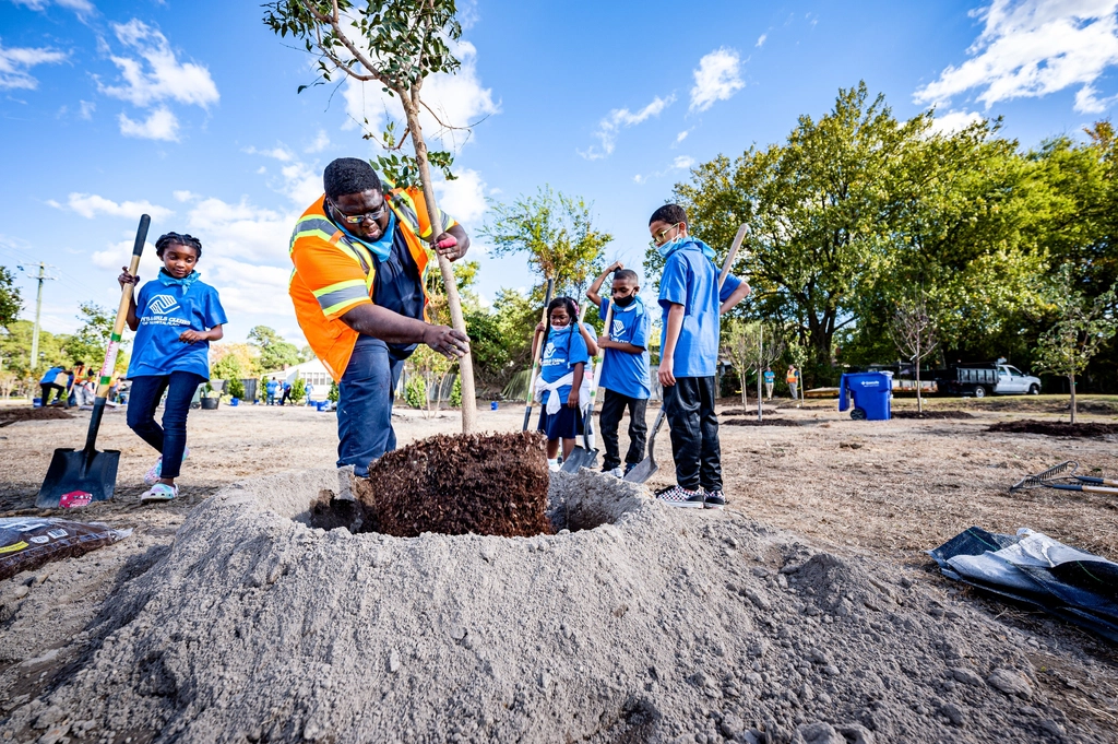 Louisville, Kentucky: Tree Canopy Assessment and Urban Forestry (Image Credits: Rawpixel)