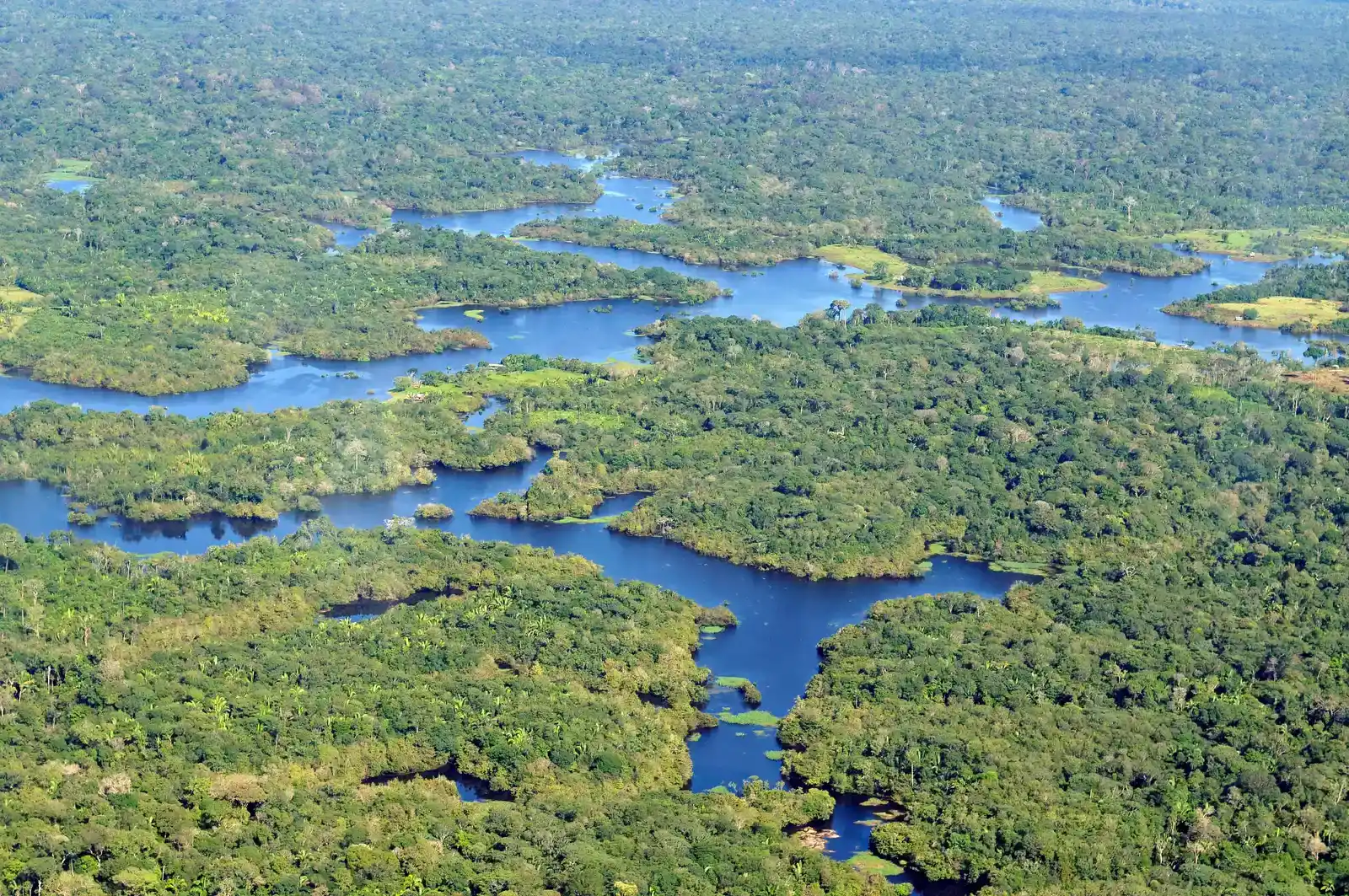 The Amazon’s Unmapped Interior and Buried Cities (Flickr, CC BY-SA 2.0)