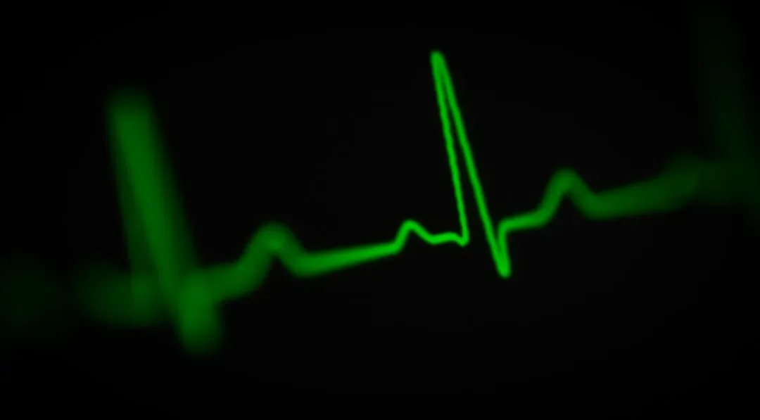 The Final Heartbeat: When Death Officially Begins (Image Credits: Unsplash)