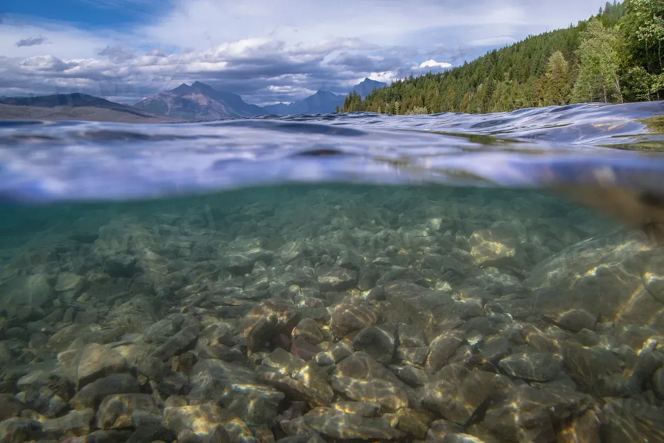 7. Deep Scattering Layer: The Daily Vertical Migration (Image Credits: Rawpixel)