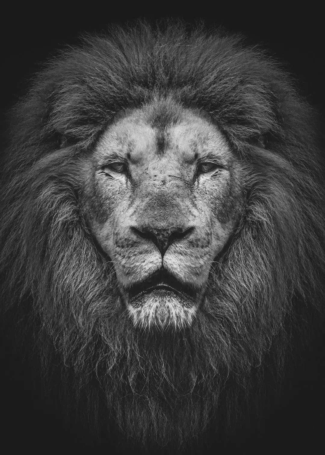 How to Work With Your Inner Leo: Practical Ways to Channel the Lion (Image Credits: Unsplash)