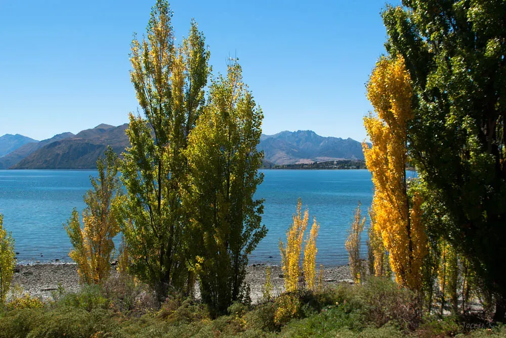 Conclusion: A World of Hidden Conversations (Jocey K, Flickr, CC BY-SA 2.0)