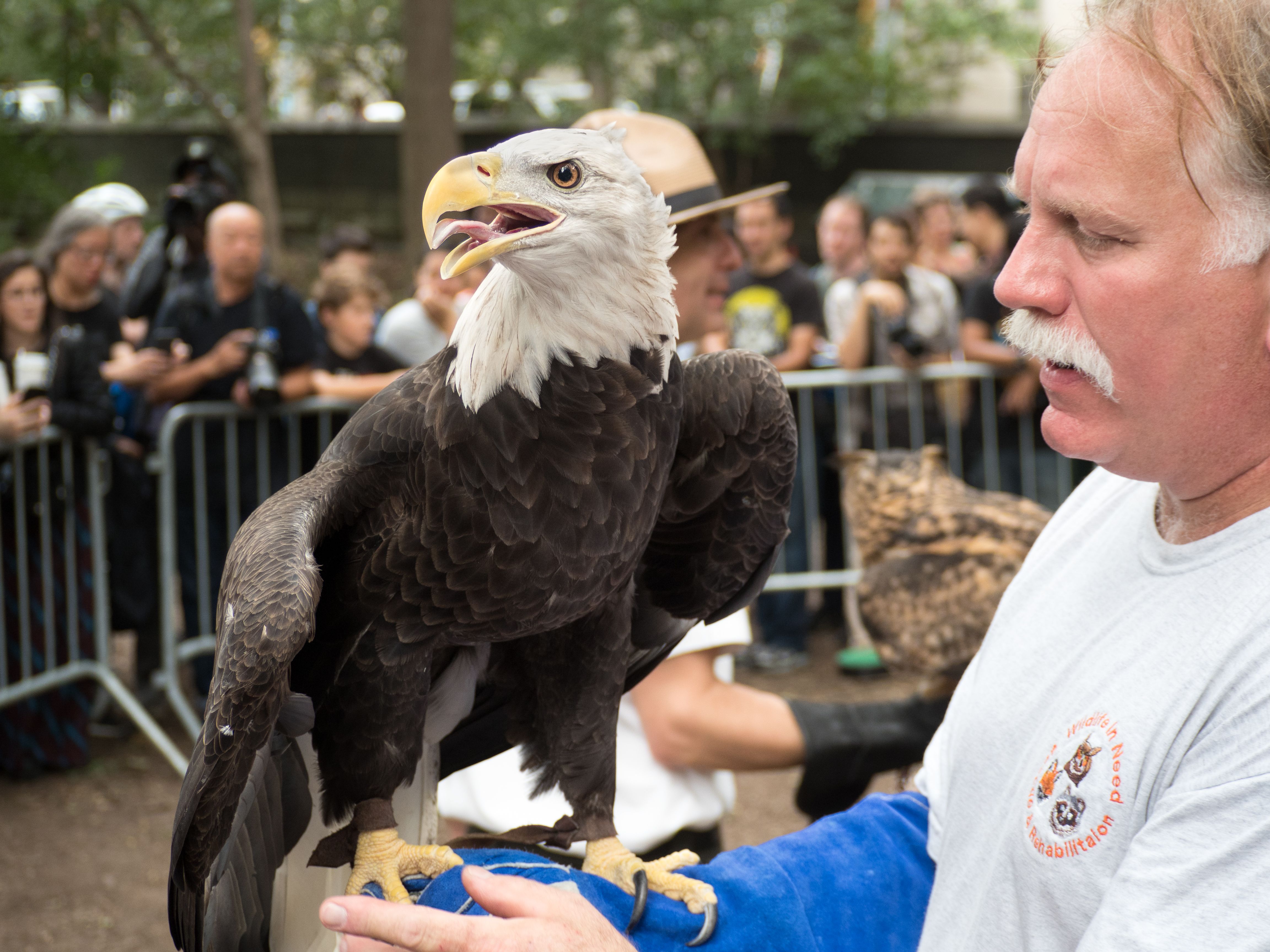 Conclusion (Image Credits: Wikimedia)