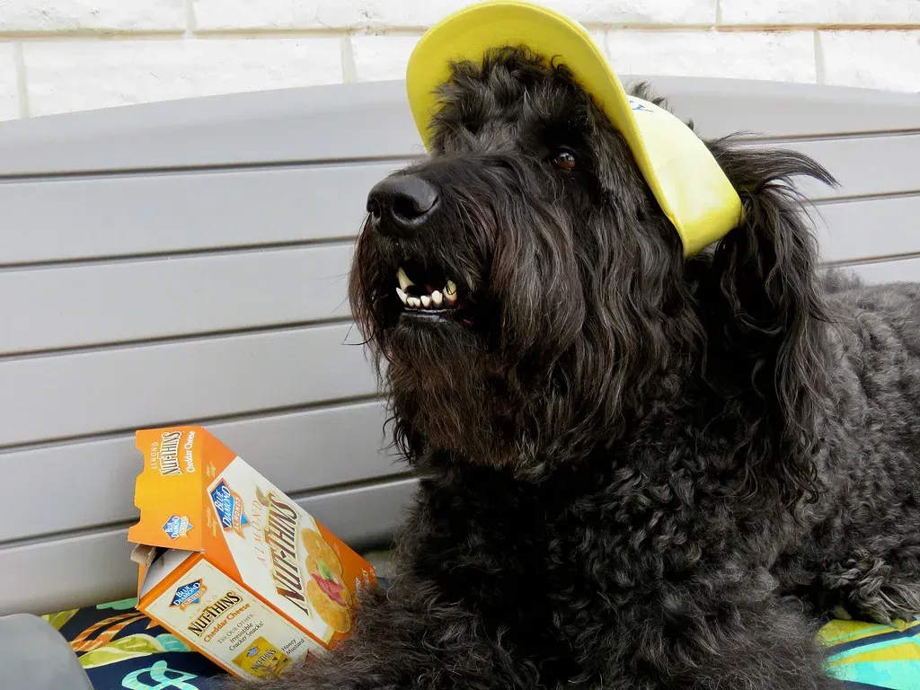 Conclusion: Adding More Good Days, One Small Habit at a Time (Image Credits: Flickr)