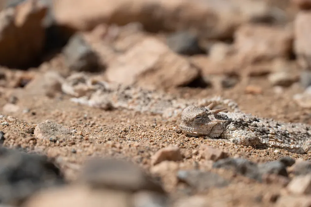 Reading the Ground and Choosing the Right Spot (Image Credits: Flickr)