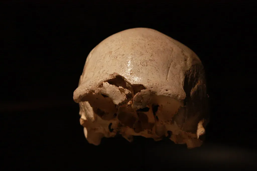 #4 - Atapuerca's Sima de los Huesos: A Pit of Bones and a Mystery (fernand0, Flickr, CC BY-SA 2.0)