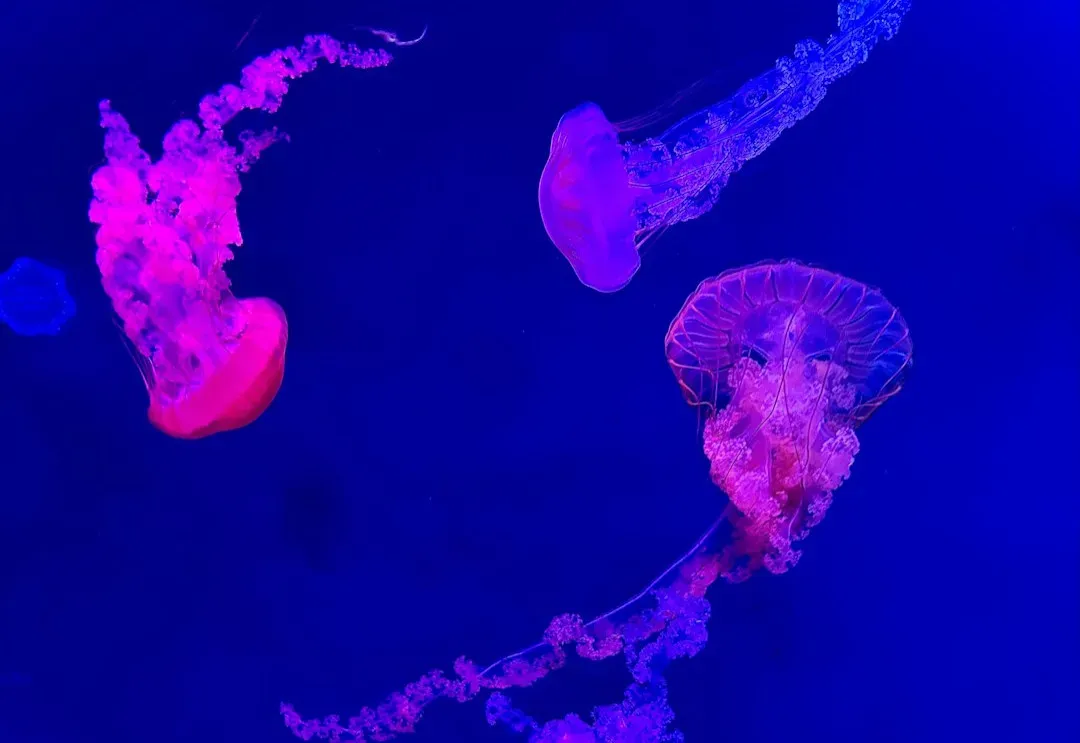 A Planet That Glows More Than We Think (Image Credits: Unsplash)