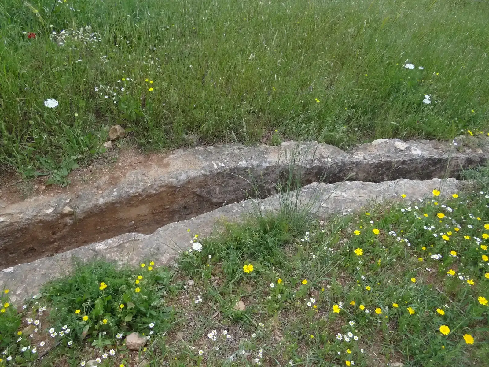 #13 Ancient Wells, Springs, and Water Systems in a Time of Drought (By Hanay, CC BY-SA 3.0)