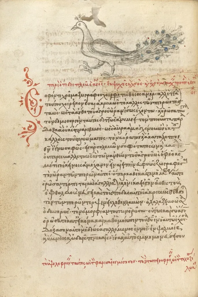 The Hidden Clues in Materials: What Survives and What We’ve Lost (Image Credits: Rawpixel)