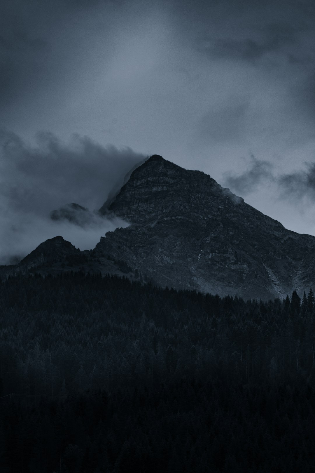 The Hidden Clues (Image Credits: Unsplash)