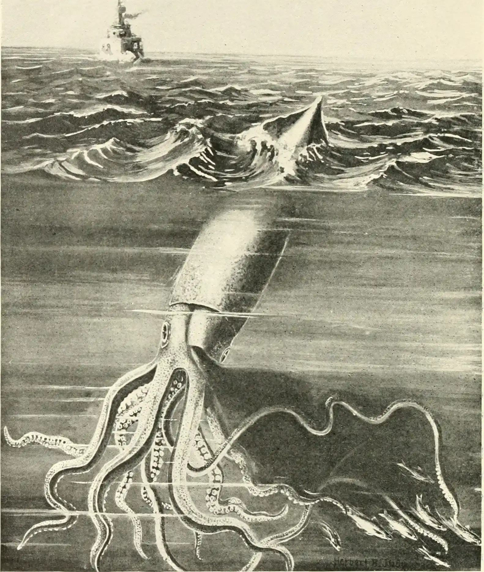 Scorpio – The Giant Squid (By Internet Archive Book Images, No restrictions)