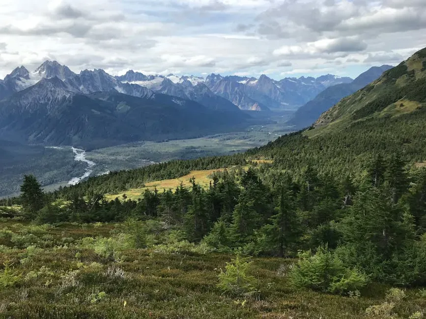 Togiak National Wildlife Refuge, Alaska (Image Credits: Pexels)