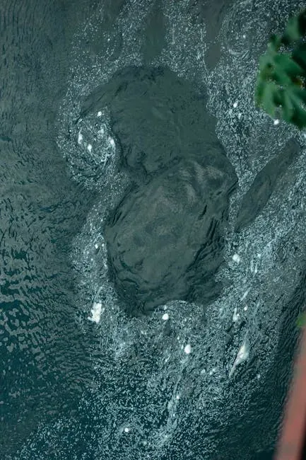 1. The Death‑Defying Tun State (Image Credits: Pexels)