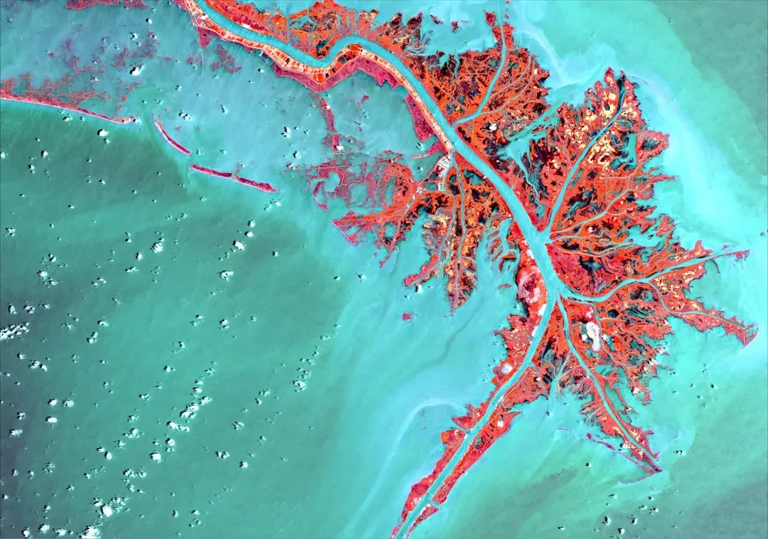 The Future Lens: New Tools, New Warnings (Image Credits: Unsplash)