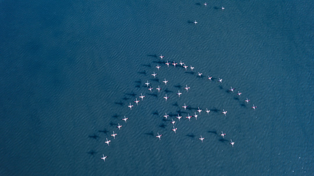 The Future Landscape (Image Credits: Unsplash)