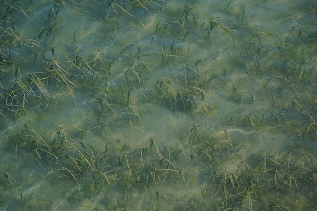 Behavioral Changes in Remaining Species (Image Credits: Unsplash)