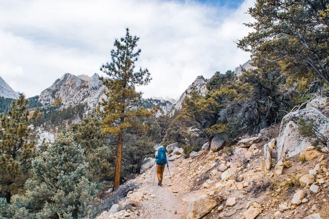 12. The Vanishing of Experienced Climber Matt Greene in the Sierra Nevada (Image Credits: Unsplash)