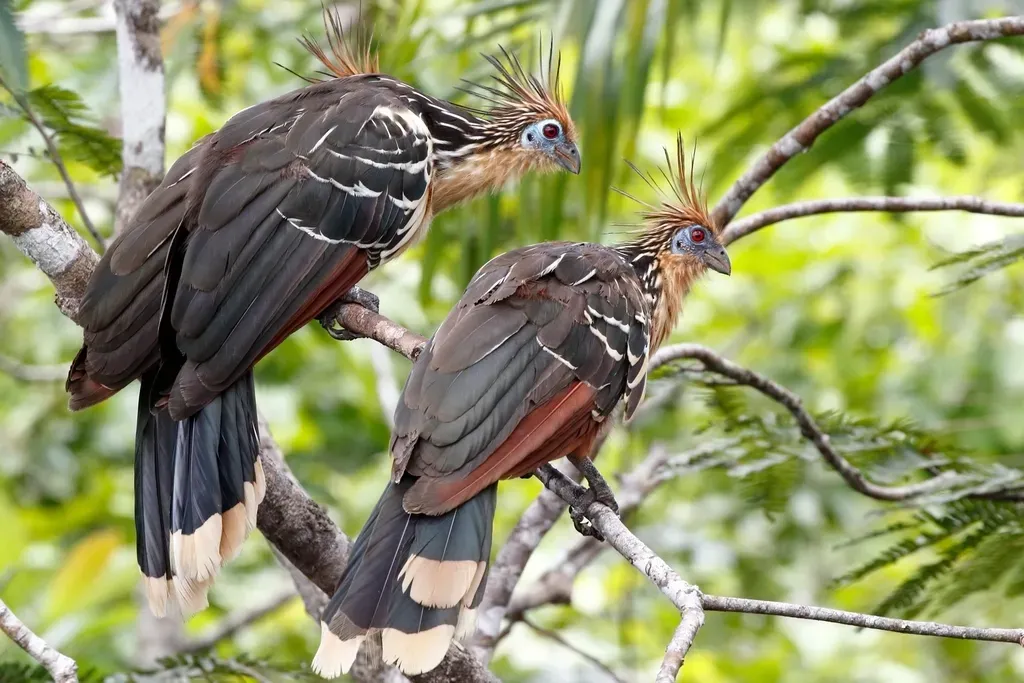 A Living Reminder That Evolution Plays by Its Own Rules (Image Credits: Rawpixel)