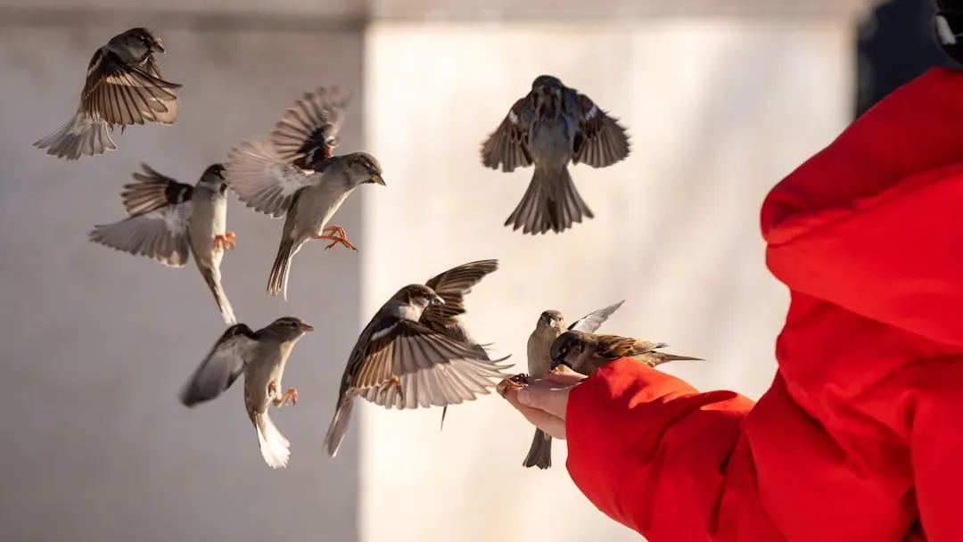 What This Question Reveals About You, Not Just About Birds (Image Credits: Unsplash)