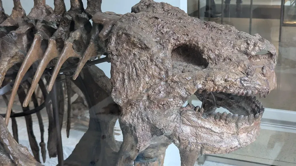 Pareiasaurs: The Armored Herbivores That Time Forgot (Image Credits: Flickr)