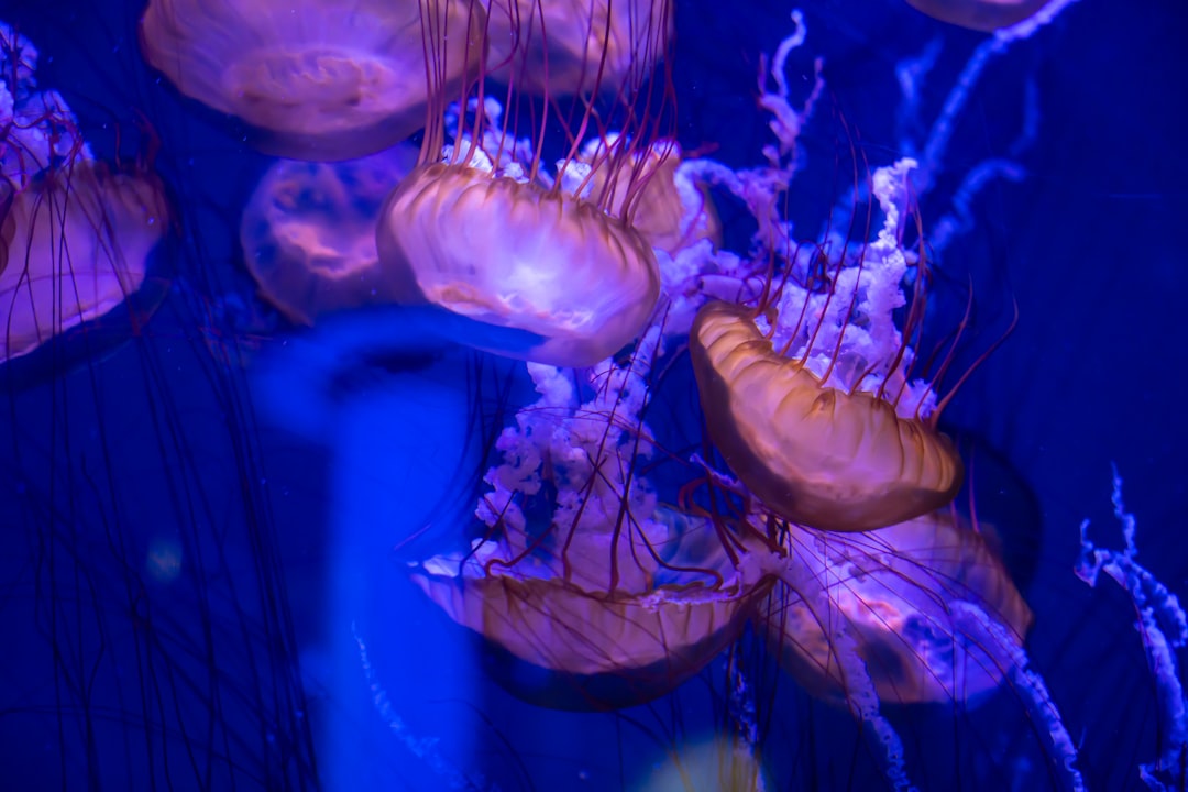 Call to Action and Conclusion (Image Credits: Unsplash)