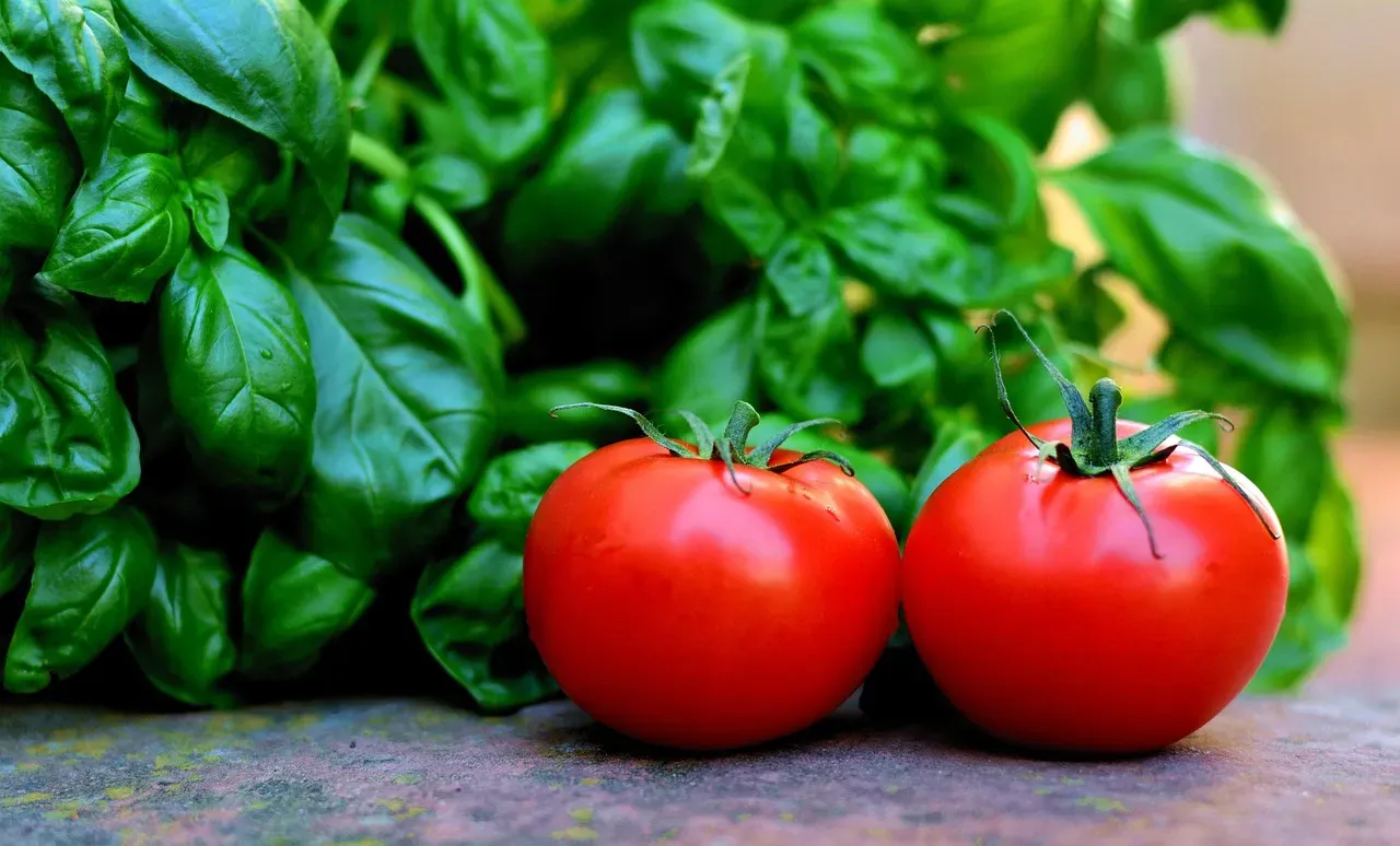 #5 - Basil Next to Tomatoes Isn't Just for Caprese Salad (Image Credits: Pixabay)
