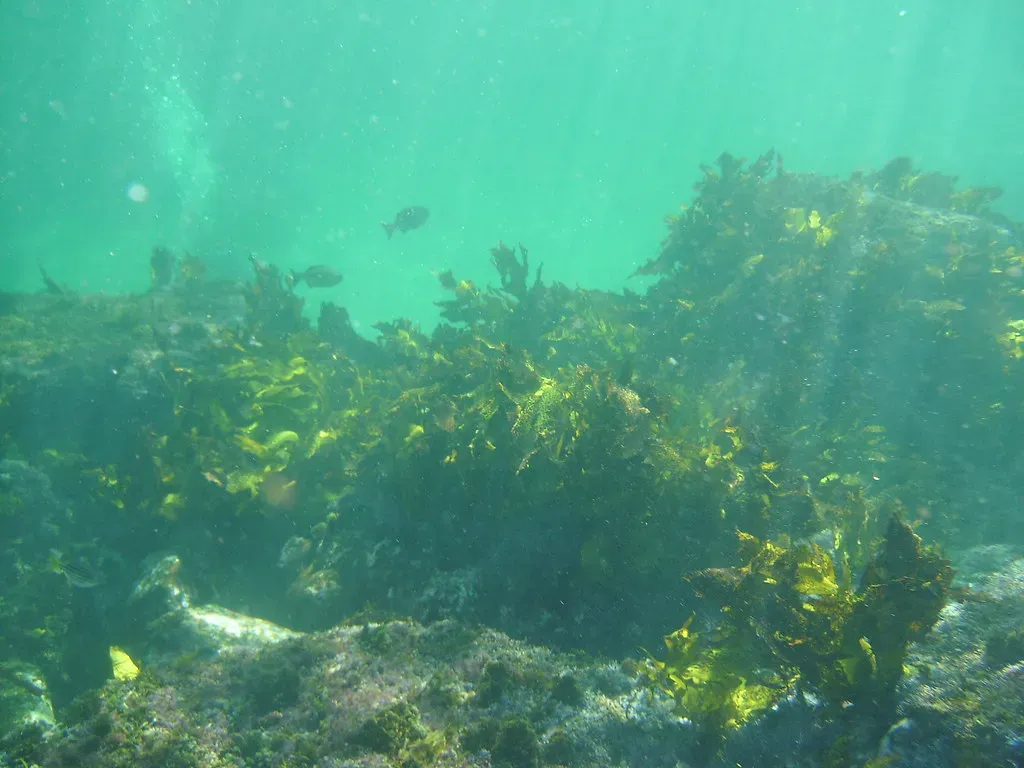 4. The Hidden Mountains and Canyons: Mapping a Planet We Thought We Knew (Image Credits: Flickr)