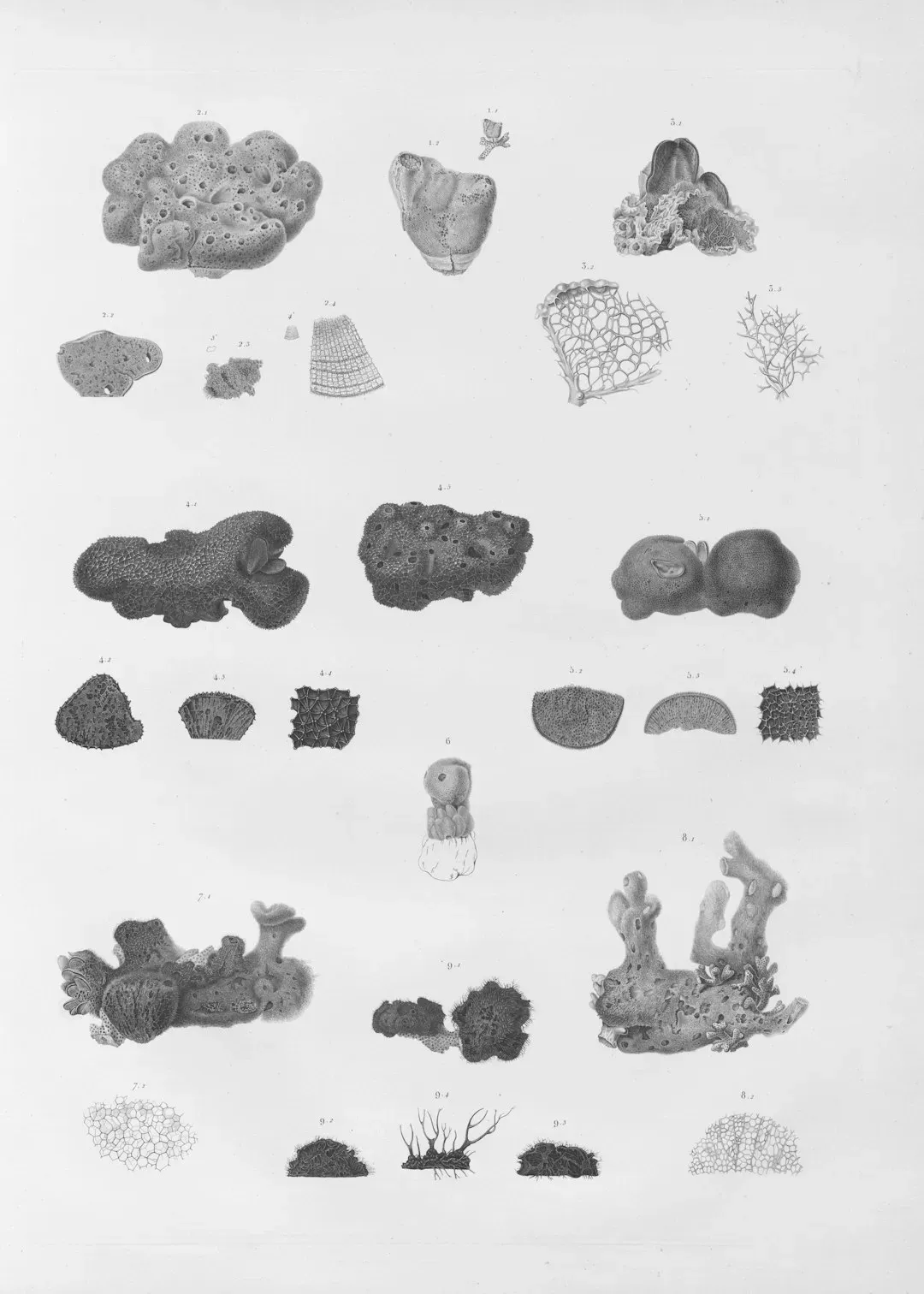 The Future Landscape: New Tools for Old Mysteries (Image Credits: Unsplash)