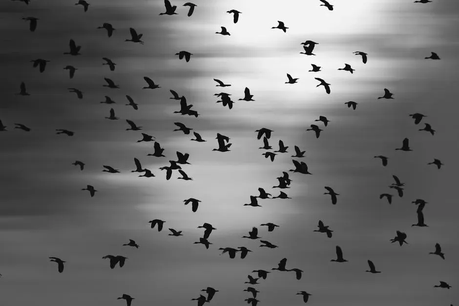 Birds and the Celestial Compass: Reading the Stars (Image Credits: Pexels)