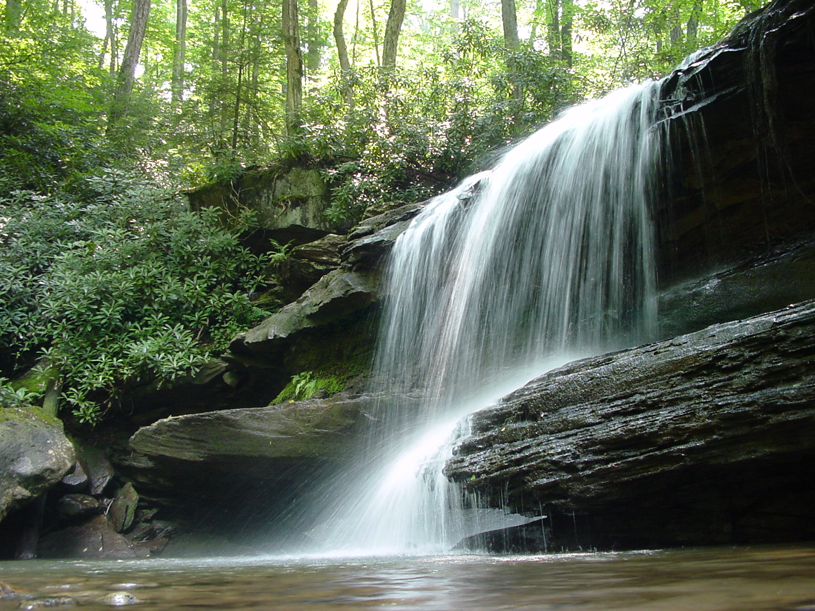 Ricketts Glen, Pennsylvania - A Living Laboratory (Image Credits: Wikimedia)