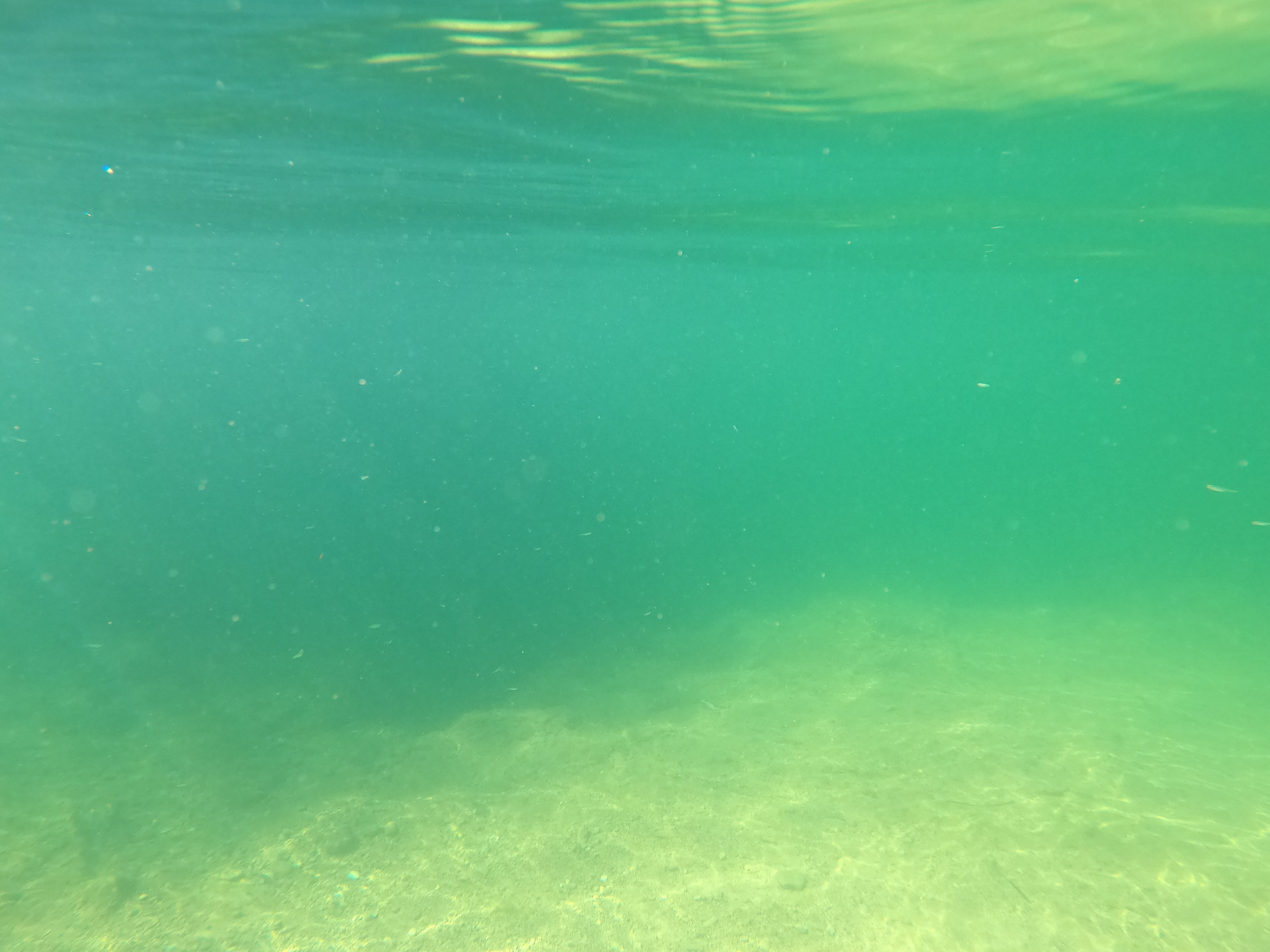 Underwater Rivers and Lakes Hidden in the Depths (Image Credits: Wikimedia)