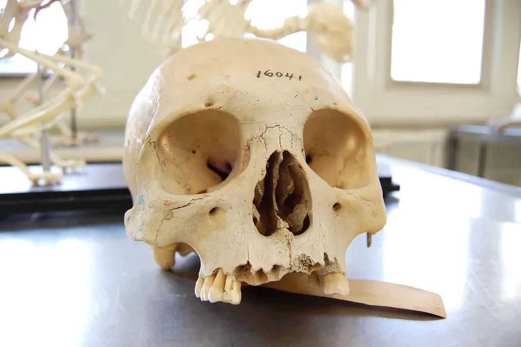 The Shocking Idea: Humanity Balanced On A Knife-Edge (Image Credits: Flickr)