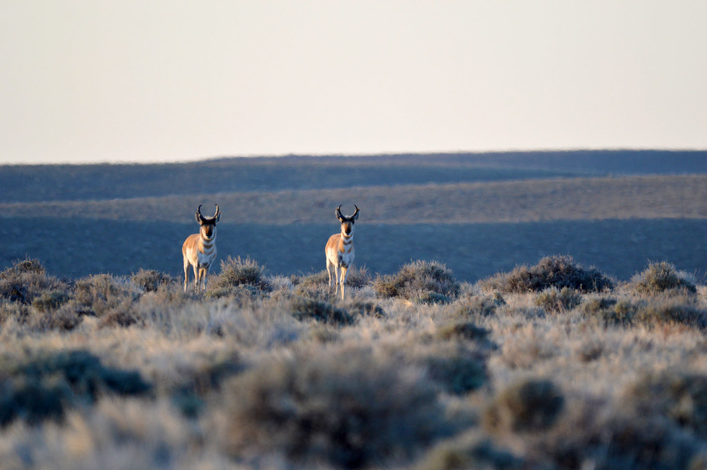 Partnership Power Drives Success (Image Credits: Flickr)