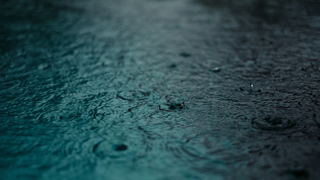 Water’s Pulse: Cancer, Scorpio, Pisces (Image Credits: Unsplash)