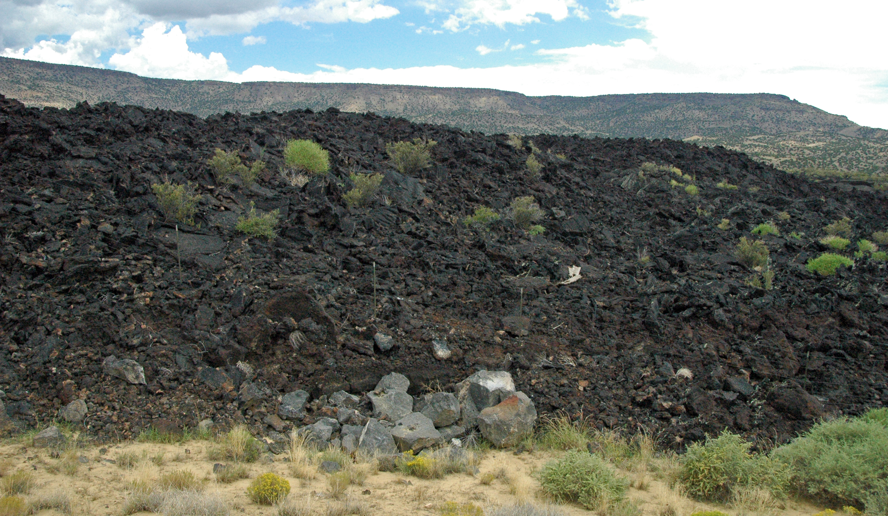 The Zuni-Bandera Surprise (Image Credits: Wikimedia)