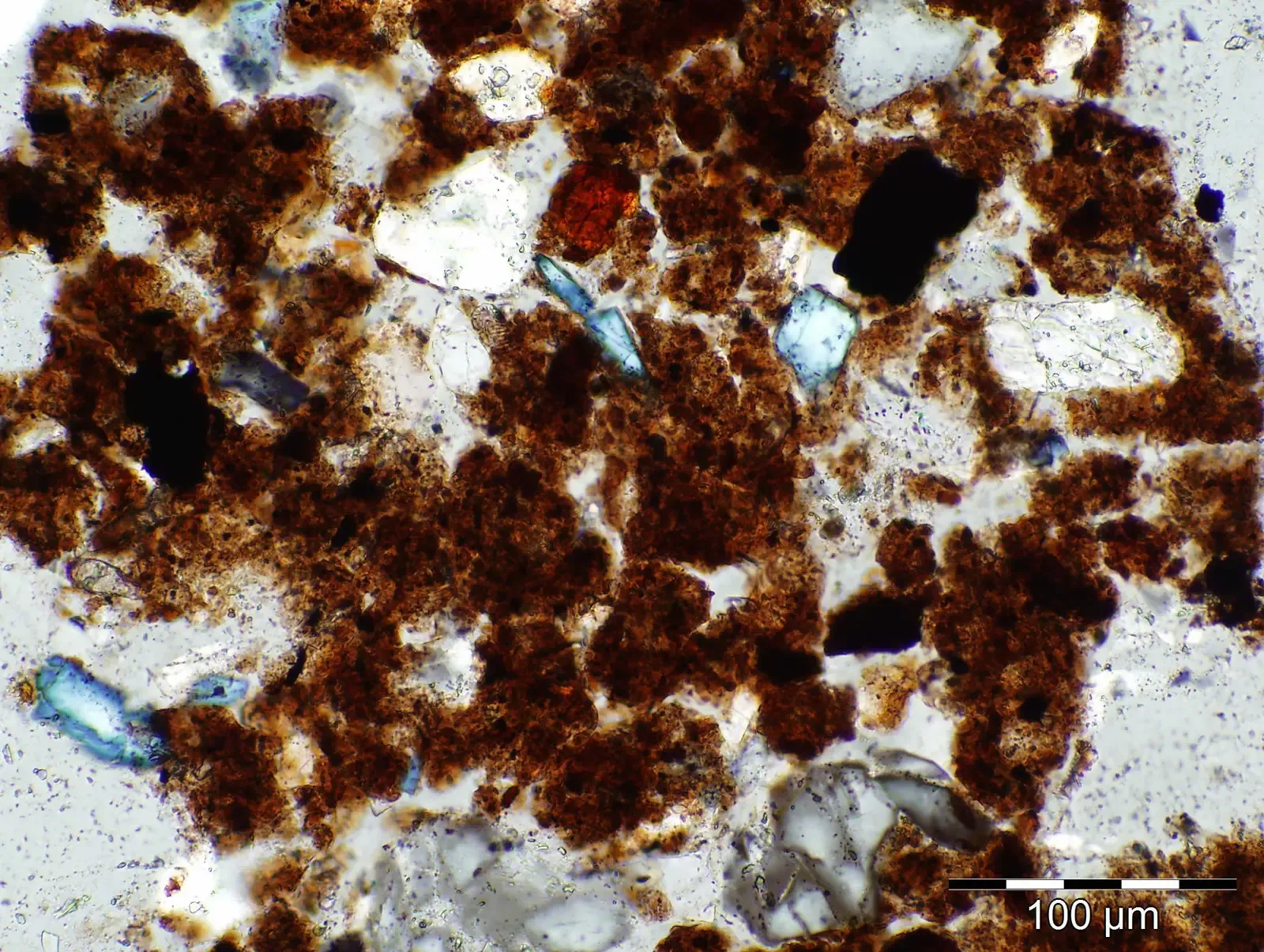 #11 - It Rebuilds Soil Structure From the Molecular Level Up (Jan M. van Mourik et. al. "The added value of biomarker analysis to the genesis of plaggic Anthrosols; the identification of stable fillings used for the production of plaggic manure", SOIL doi:10.5194/soil-2-299-2016, CC BY 3.0)