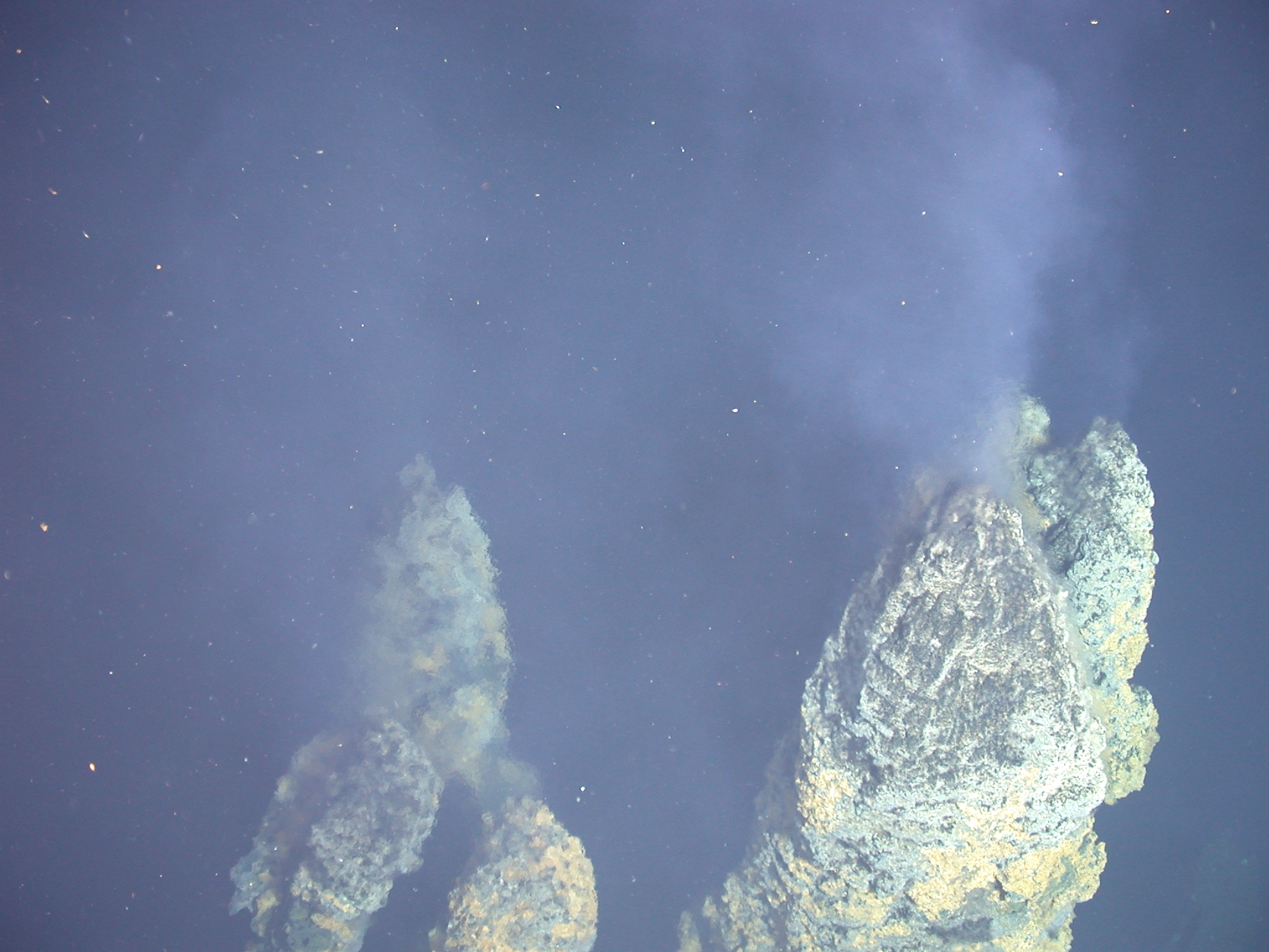 Unique Thermal Ecosystems Thrive in Darkness (Image Credits: Wikimedia)