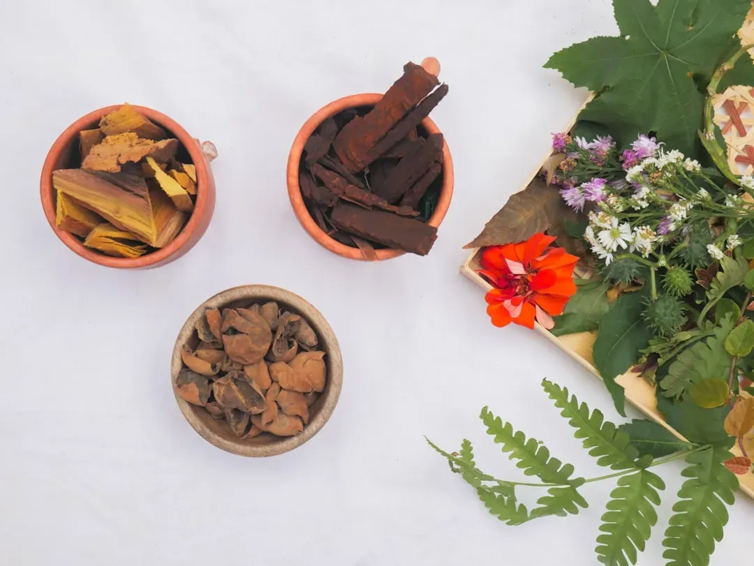 7. Forgotten Herbal Medicine And Ancient Surgical Skill (Image Credits: Unsplash)