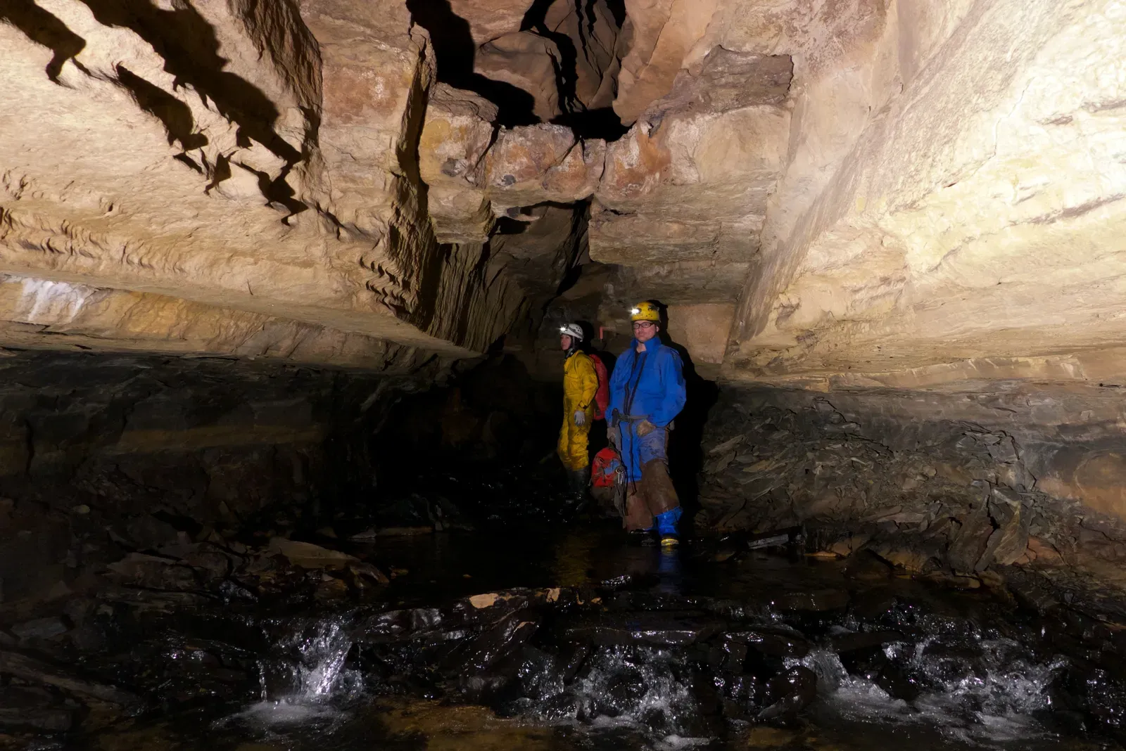 Still Evolving in the Dark: Adaptation Without Sunlight (By David A. Riggs, CC BY-SA 2.0)