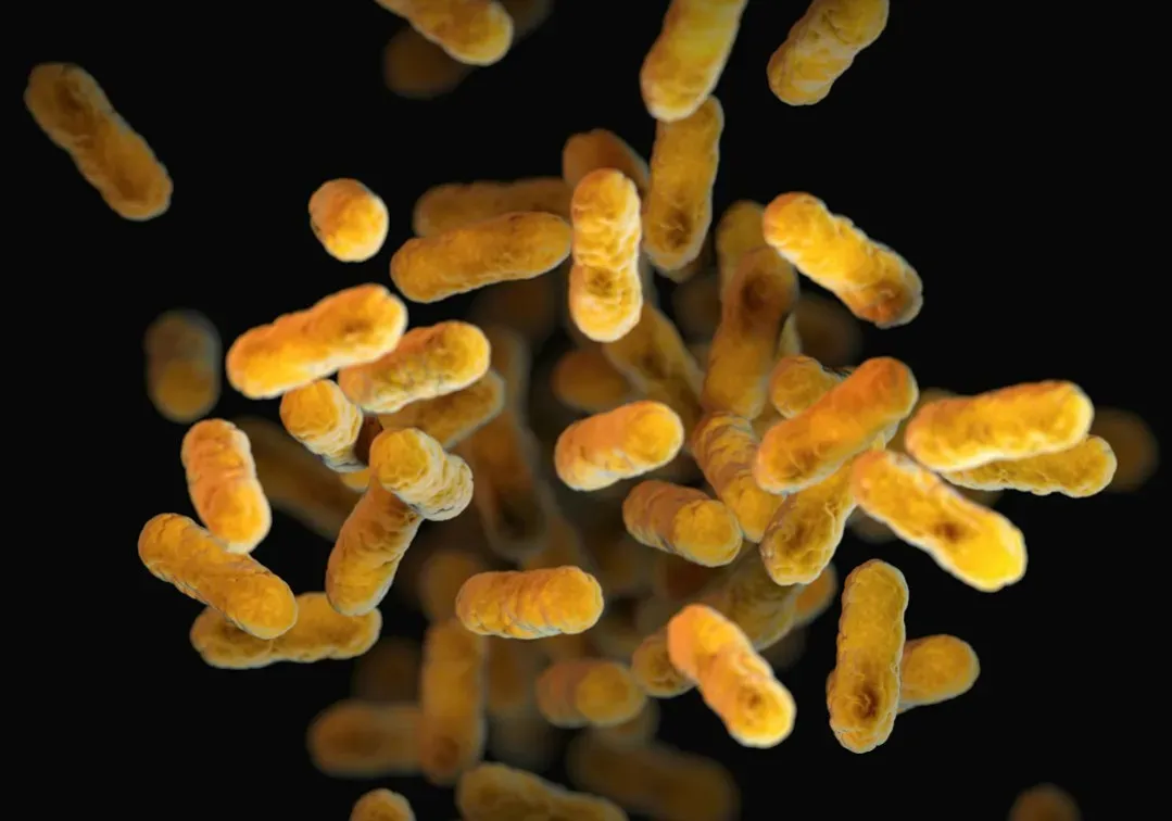 Conclusion: Living as an Ecosystem, Not a Lone Individual (Image Credits: Unsplash)