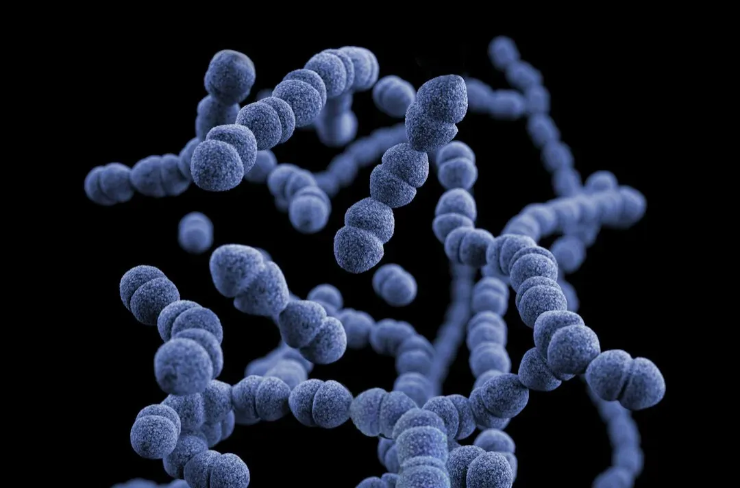 #11 - The "Alien-Like" Life Form That Broke the Rules of Biology (Image Credits: Unsplash)