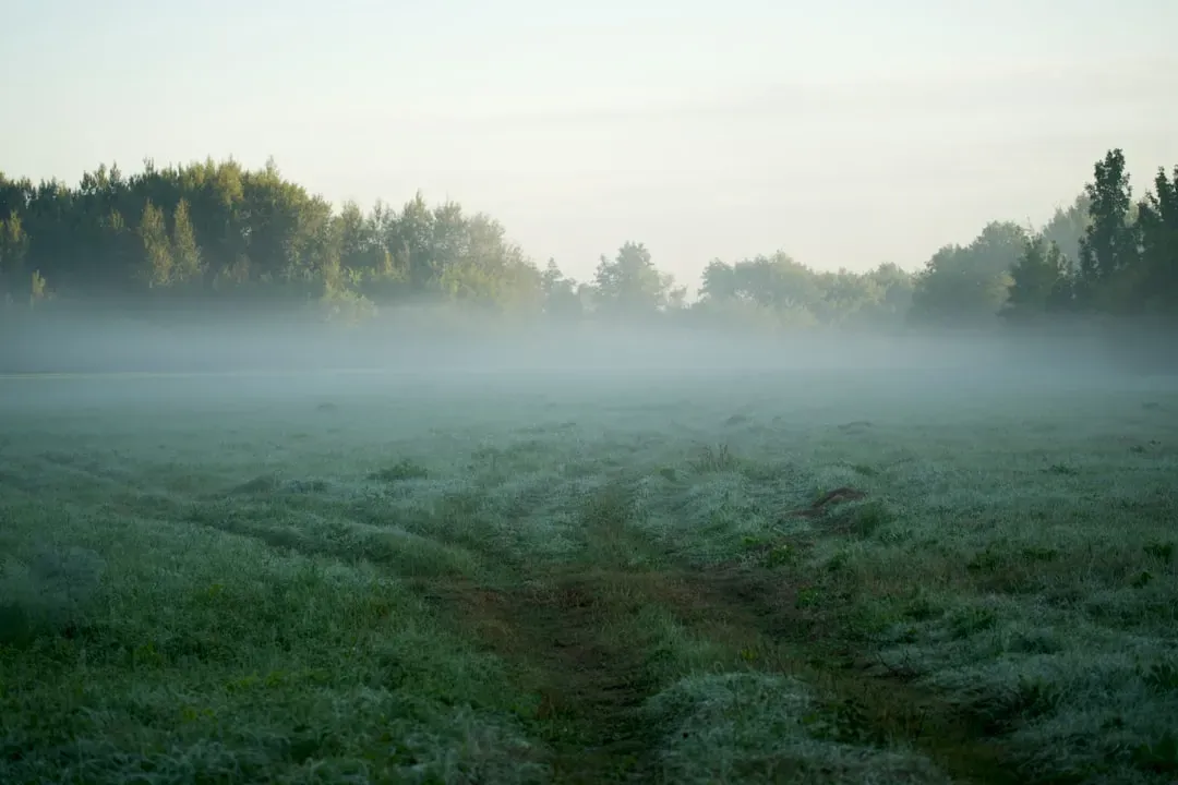 3. The Air Loses Its Mugginess and Gains a Sharp Edge (Image Credits: Unsplash)