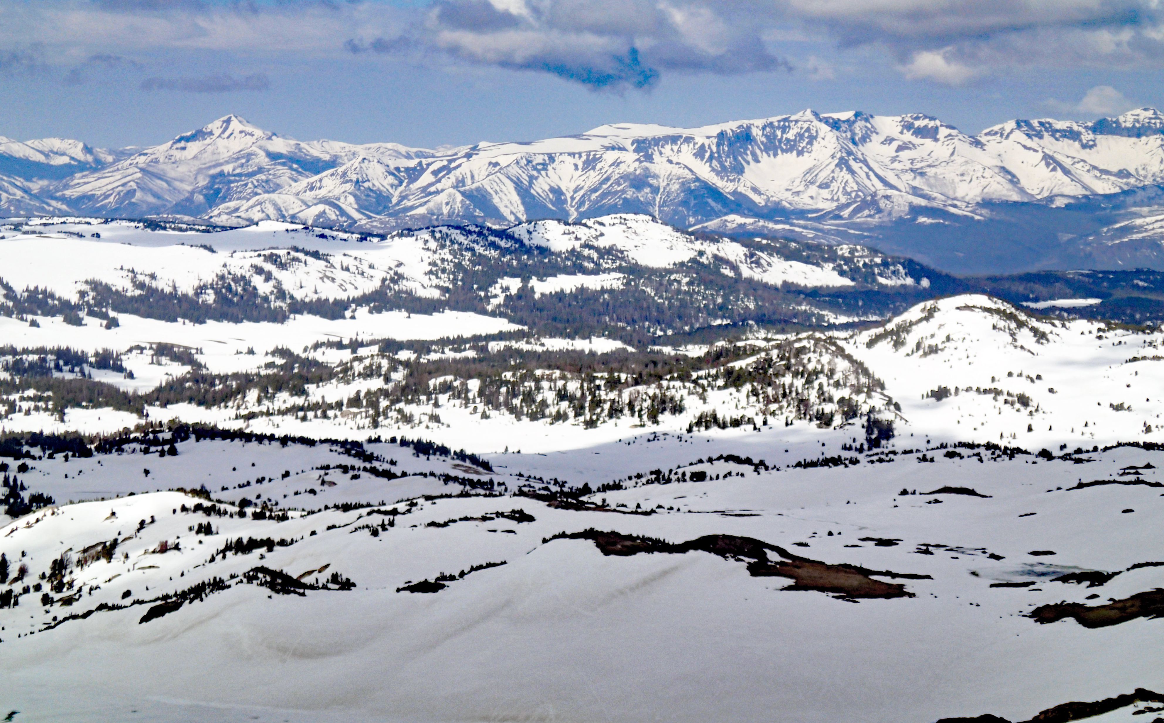 The Rocky Mountain Forest Discovery (Image Credits: Wikimedia)