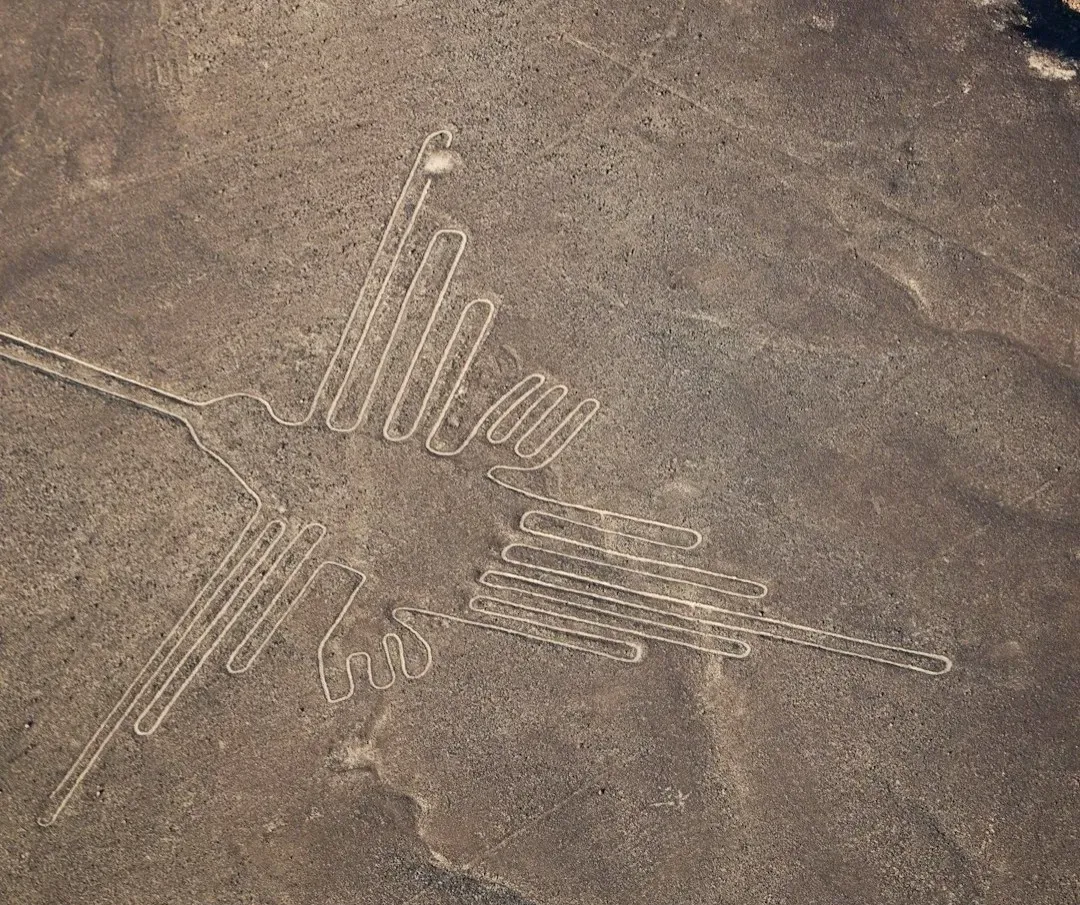 Conclusion: Earthworks That Make You Think Like a Bird (Image Credits: Unsplash)