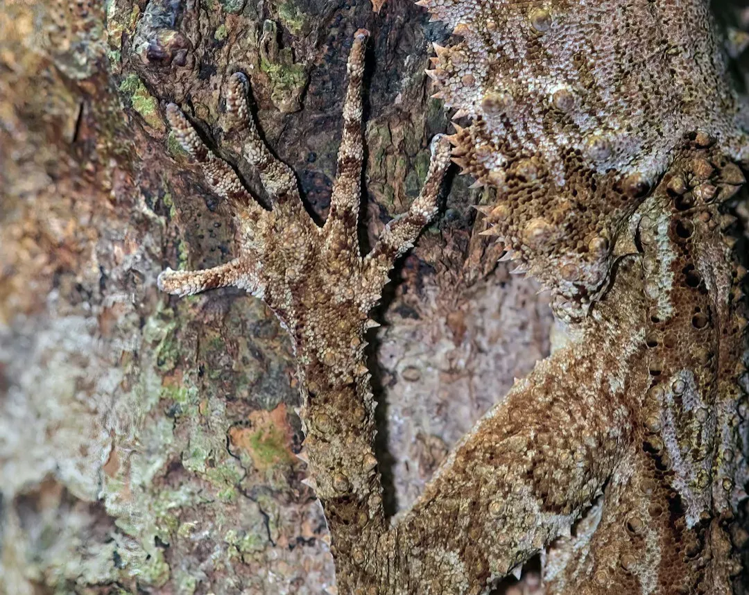 Conclusion – The Hidden World in Plain Sight (Image Credits: Unsplash)