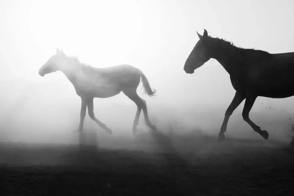 #5 - The "Ghost" Horses That Lingered After North America's Wild Herds Died Out (Image Credits: Pexels)