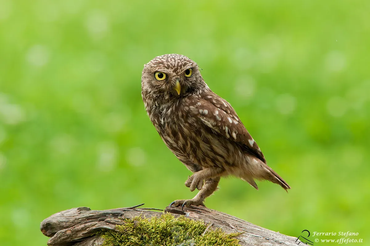 Gear Essentials for Florida Heat (Imported from 500px (archived version) by the Archive Team. (detail page), CC BY 3.0)